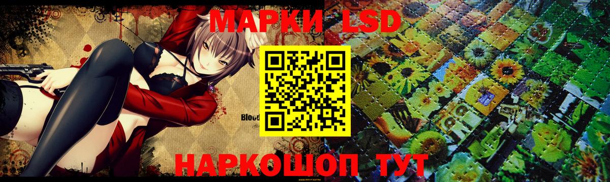 Галлюциногенные грибы Карачаевск