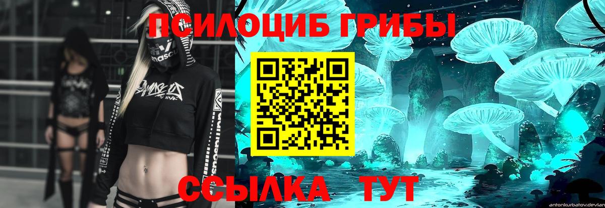 Псилоцибиновые грибы мухоморы  Вход с VPN  Карачаевск 